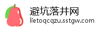 避坑落井网